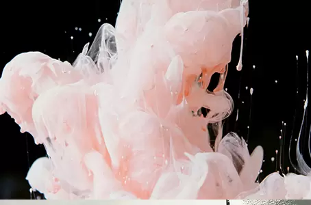 汇聚能量，智防未来——保立佳防水行业盛会行